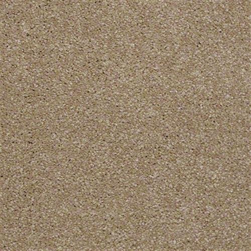Southland Floors Carpet - 9258 CONSTANT - Timeless