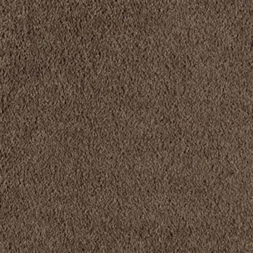 Southland Floors Carpet - 1246 LIZ TAYLOR - Stars