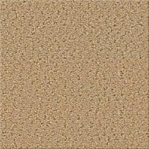 Southland Floors Carpet - 8791 TOW AWAY ZONE - Signs