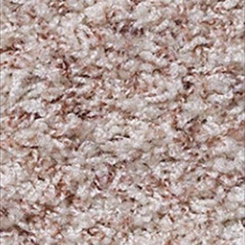 Southland Floors Carpet - 8098 SNICKERS - Global