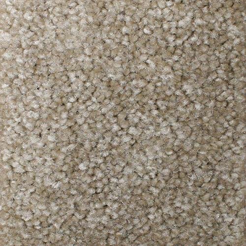 Southland Floors Carpet - 8298 TOFFEE - Standout