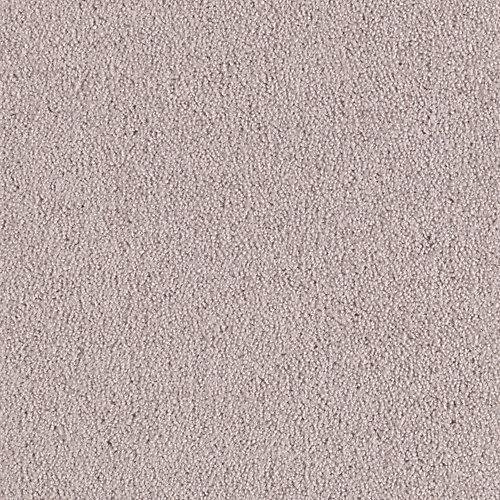 Southland Floors Carpet - 3672 MUSK - Stingray