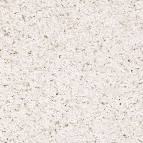 Southland Floors Carpet - 8095 COCONUT - Global