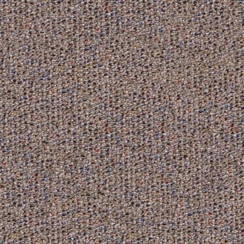 Southland Floors Carpet - 9124 AGATE - Ironside 20