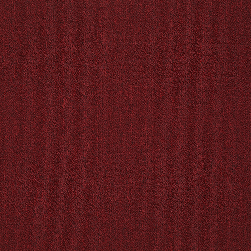 Southland Floors Carpet - 34 CARDINAL - Windows II