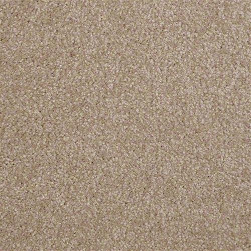 Southland Floors Carpet - 9257 NEVER ENDING - Timeless
