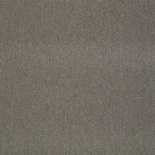 Southland Floors Carpet - 30 MUSHROOM - Windows II