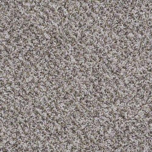Southland Floors Carpet - 2520 MOONDANCE - Records