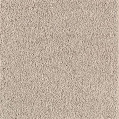 Southland Floors Carpet Swatch 9424 SAFARI - Adventure
