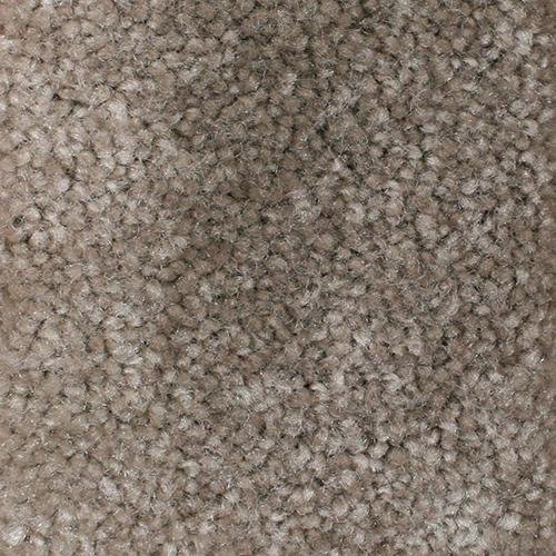 Southland Floors Carpet - 8300 MOCHA - Standout