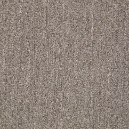 Southland Floors Carpet - 42 FAWN - Windows II