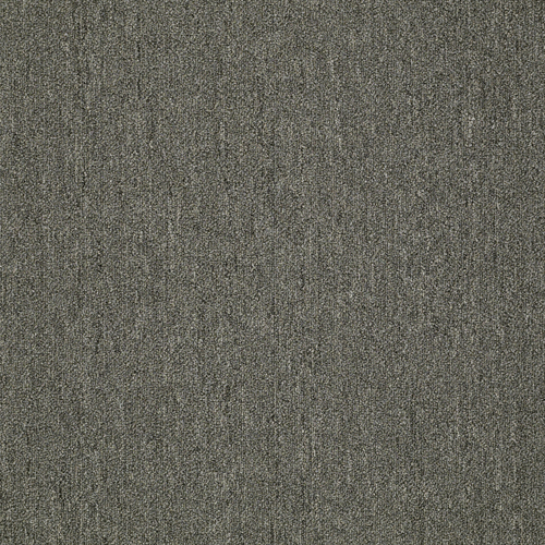 Southland Floors Carpet - 37 MINERAL - Windows II
