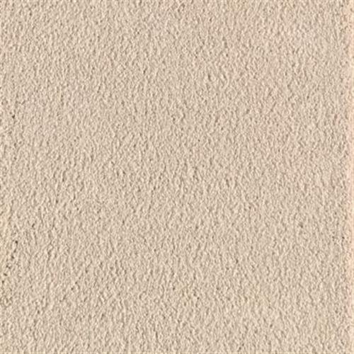 Southland Floors Carpet Swatch 9423 ROCK CLIMB - Adventure