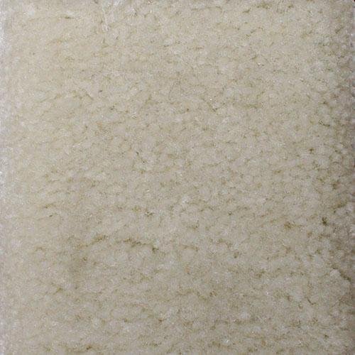 Southland Floors Carpet - 1819 ASH - Xtra