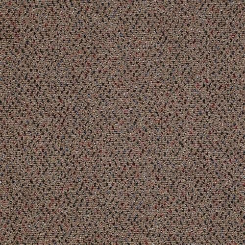 Southland Floors Carpet Swatch 1193 Big League