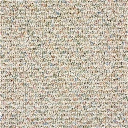 Southland Floors Carpet - 1106 CONFETTI - Short Hills