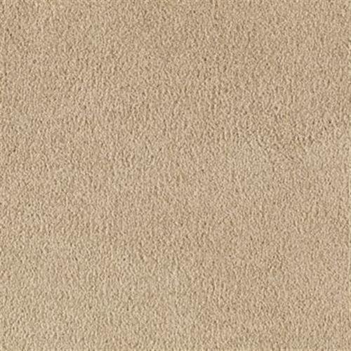 Southland Floors Carpet - 2388 CLOWNS - Carnival