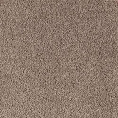 Southland Floors Carpet Swatch 9433 MT EVEREST - Adventure