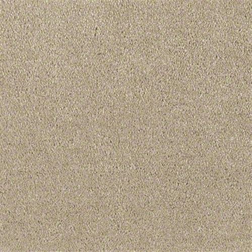Southland Floors Carpet - 8352 PRIZE - Bonus