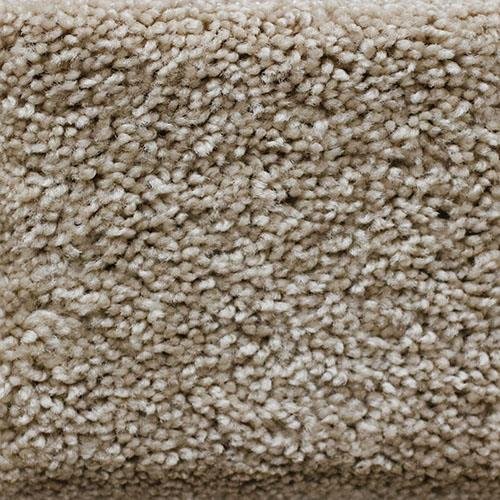Southland Floors Carpet - 1253 BRAD PITT - Stars