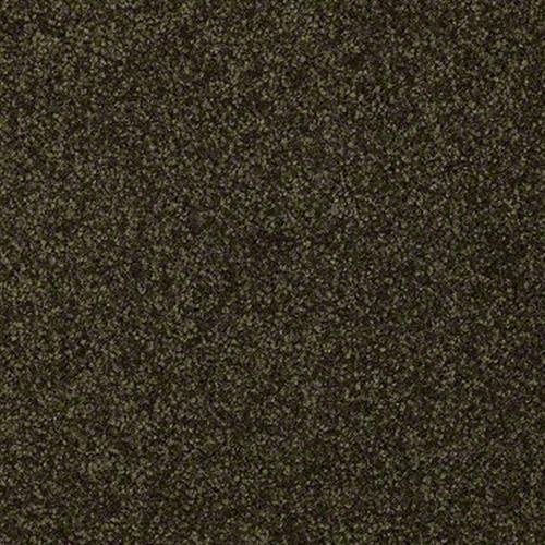 Southland Floors Carpet - 9255 EVERLASTING - Timeless